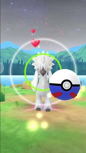 Pokémon GO: Kalos Tour - Perfect Furfrou Encounter/Le rencontre de Furfrou Parfait!