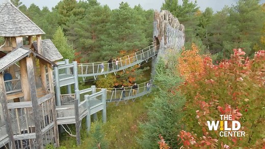 Discover NY's Adirondacks through a one-of-a-kind outdoor experience at The Wild Center in Tupper Lake, NY. Hike the trails along our 115-acre open-air campus, explore Wild Walk - a platformed trail across the treetops, and step into Musical Forest - an immersive sound experience in the woods. Open Fridays-Sundays from 10am to 5pm. Reserve your required timed ticket and plan your fall visit at: wildcenter.org/visit. | The Wild Center