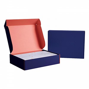 [Hot Item] Customized Logo Color Printing Corrugated Express Packaging Clothing Aircraft Box