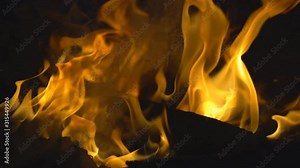 Slow motion fire concept, Fire flame close up burning super Slow motion.It real fire flame on campfire is rapid oxidation material in exothermic chemical process of combustion releasing heat light