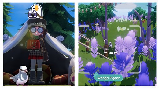 Where To Find The Wonga Pigeon in Heartopia - Video Guide! - Kongbakpao