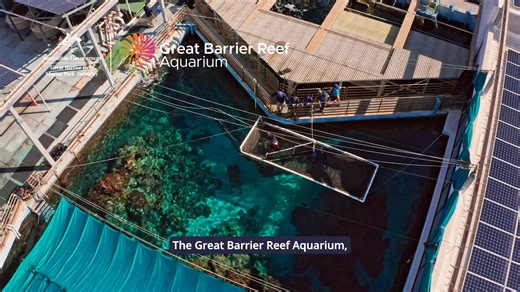 Exciting news! Expressions of Interest (EOI) are now open for the once-in-a-generation redevelopment of Australia’s national education centre for the Great Barrier Reef. This is an exceptional opportunity for creative professionals, architects, engineers and designers to help design Australia's national education centre for the Great Barrier Reef – a world-leading education and tourism facility representing one of the most iconic and globally treasured ecosystems in the world. The EOI includes 1