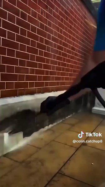 Colin Catchup on TikTok