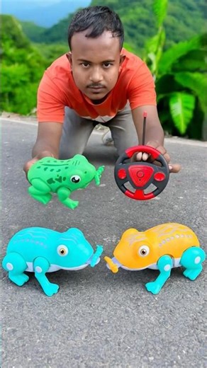 RC 2 Ta Remote Control Frog 🐸 Unboxing Oilo