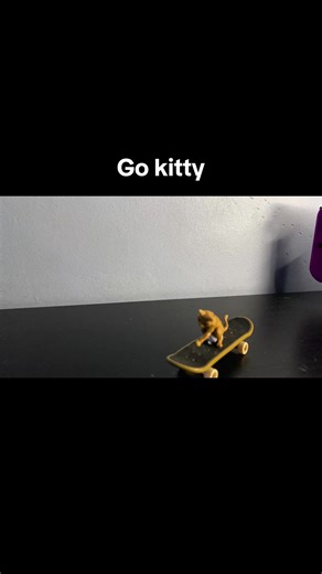 Big the cat and his hyper realistic cat buddy. #stopmotion#meme#cat#actions#sonic @Darkmaster75