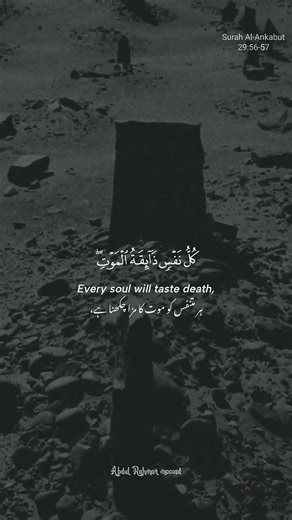 surah Al ankaubat part 7 kullu nafsi jaeqatul mout 😢☝️#islamicshrt#surahalankaubat#allahuakbar#love