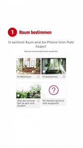 Finde die perfekte Pflanze für deinen Urban Jungle mit unserem Zimmerpflanzen Berater! 🌱✨ Beantworte ein paar einfache Fragen und entdecke dein grünes Match. Hier geht’s zum Zimmerpflanzen Berater: https://www.bauhaus.info/berater/pflanzen?icid=Int20230703Ger0003 | BAUHAUS Deutschland