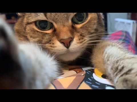 Look how she grabs my finger!