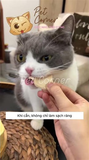 Thức ăn sấy cho chó mèo - Thịt bò sấy đông khô cho thú cưng - Pet Corner