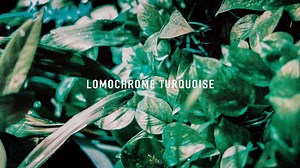 胶片偏色就完事了！LomoChrome Turquoise