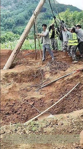 Raising Utility Poles: How Farmers Work Together To Stand Heavy Wooden Poles Upright