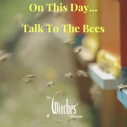 The Witches' Almanac 2024 Collectable Wall Calendar here: https://api.ripl.com/s/mvzdw2 #TheWitchesAlmanac #Witch #Witches #WitchCalendar #LunarCalendar #Moonphases #Almanac #Pagan #Paganism #Occult #ElizabethPepper #Theitic #WitchHistory #WitchResource #Moonlore #Magic #Spells #bees