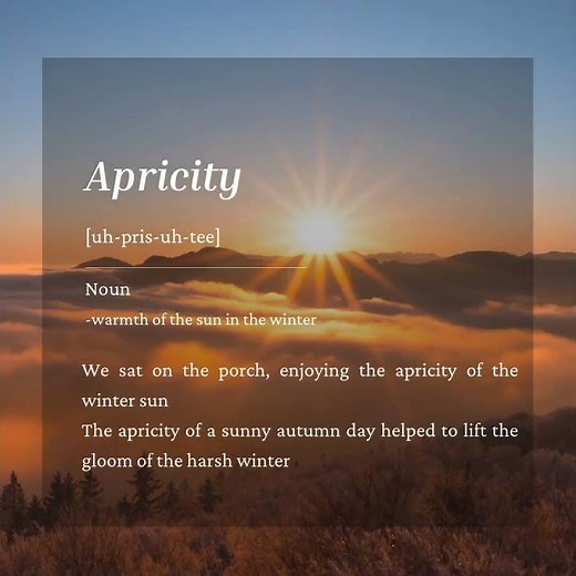 Word of the Day: Apricity | Study Bee