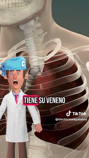 ¿Qué es la neumonía y cómo afecta a los pulmones?
