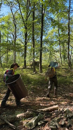 Nominations for the 2026 Leave No Trace Spotlight program are open! These events bring together land managers, local organizations, volunteers, and the public for hands-on stewardship and education. With resources and support from Leave No Trace, Spotlights strengthen local communities and create lasting connections through collective impacts. Nominate your area today https://zurl.co/Cplpc | Leave No Trace