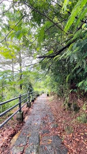 ANIME⁉️ #anime #alamindonesia #bandungan #semarang #view #healingvibes #tracking #place #jepang