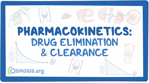 Pharmacokinetics: Drug elimination and clearance: Video, Causes, & Meaning | Osmosis