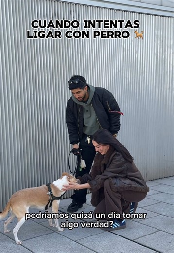 Ligar con perro vs ligar sin perro | Dog Funny Video