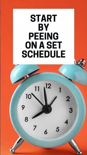 Bladder Training For Overactive Bladder And Urge Incontinence Treatment #bladderincontinence