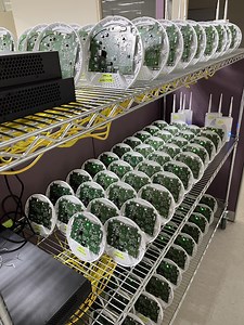 TGIF, we hope all of you have a nice weekend! Let's take a look at a corner of the DrayTek test laboratory. Does it look like a Flying Saucer base? We use switches to connect APs, reaching up to 128 units, to simulate a large number of client connections in a small area. We can conduct capacity and stress-related connection tests on routers, APs, switches, and ACS managing software. Vigorous Networking Solution for SMEs #VPN #firewall #router #cybersecurity | DrayTek