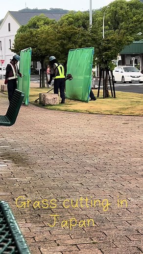 Cutting Grass in Japan: A Unique Experience