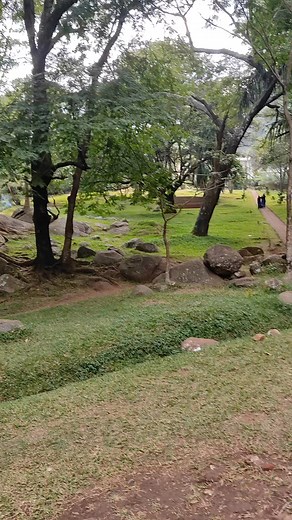 3.9K views · 90 reactions | Zomba botanical garden | Explore and Discover | Facebook