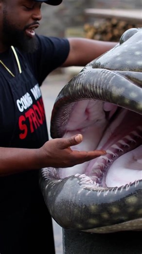 Exploring Giant Grouper: Cooking Tips and Recipes