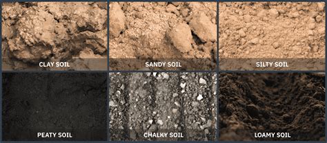 Soil