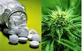 Marijuana In Pill Form For Pain Pictures