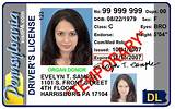 Pictures of Tn Drivers License Replacement