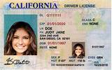 How Many Types Of Drivers Licenses Are There