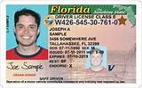 Flhsmv License Check Pictures