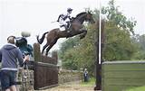 Horse Jumping Fences For Sale Pictures