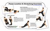 Exercise For Psoas Muscle Strengthening Pictures
