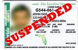 Pictures of Expired License Ticket