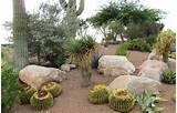 Pictures of Arizona Landscaping Rock