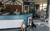 Images of Vca Pacific Petcare Animal Hospital