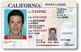 Tn Drivers License Replacement Images