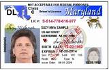 How To Obtain A Medical Marijuana Card In Florida Images