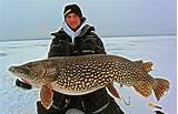 Northern Pike Fishing In Minnesota