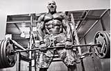 Bodybuilding Training Systems Pictures