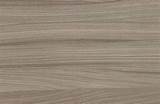 Wood Panel Background Pictures