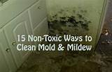 Pictures of Mold Mildew Home Remedies