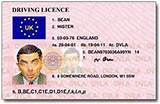 Images of For Hire Driver''s License