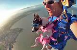 Dog Skydiving Photos