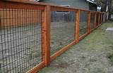 Photos of Black Welded Wire Fence Panels