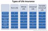 Pictures of Types Of Whole Life Insurance