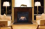 Images of Ventless Fireplace