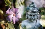 Meditation Buddhism Images