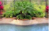 Pool Landscaping Images Photos
